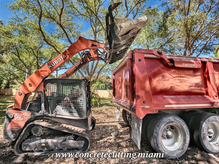 What is a Bobcat?